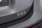 Mercedes-Benz A250 B25 by Brabus 2018 года